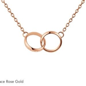Daniel Wellington Elan Unity Necklace Rose Gold